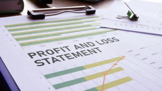 Profit and loss statement
